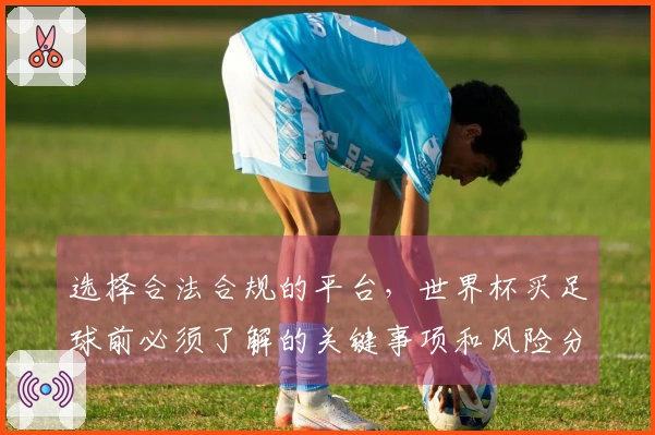选择合法合规的平台,世界杯买足球前必须了解的关键事项和风险分析