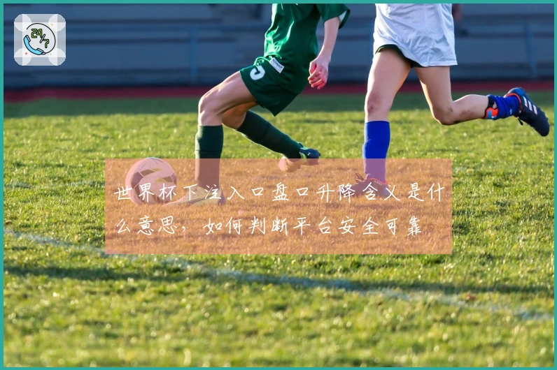 世界杯下注入口盘口升降含义是什么意思，如何判断平台安全可靠