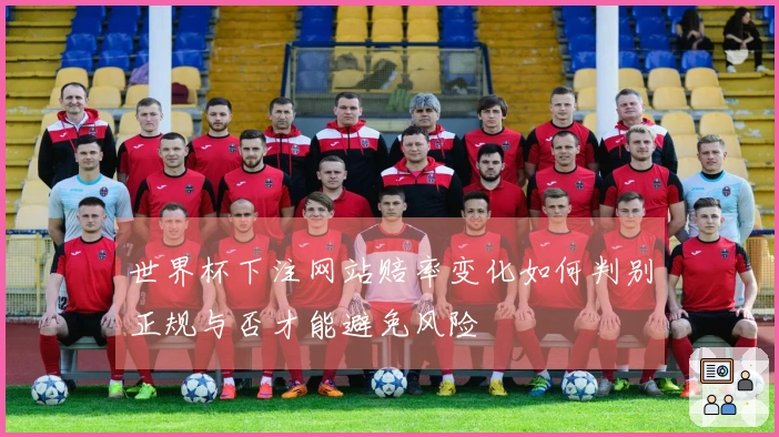 世界杯下注网站赔率变化如何判别正规与否才能避免风险