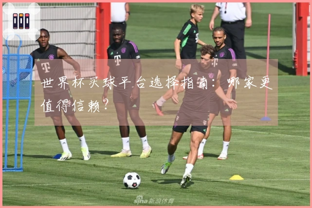 世界杯买球平台选择指南：哪家更值得信赖？