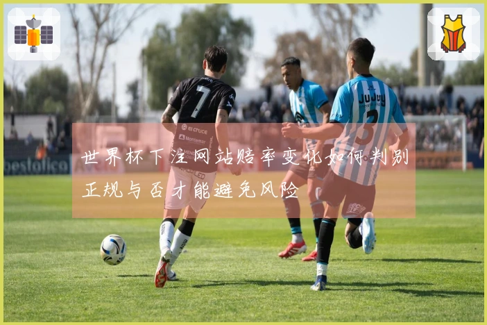 世界杯下注网站赔率变化如何判别正规与否才能避免风险