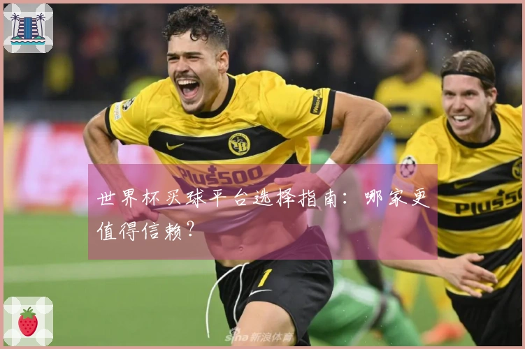 世界杯买球平台选择指南：哪家更值得信赖？