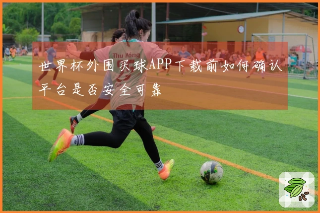 世界杯外围买球APP下载前如何确认平台是否安全可靠