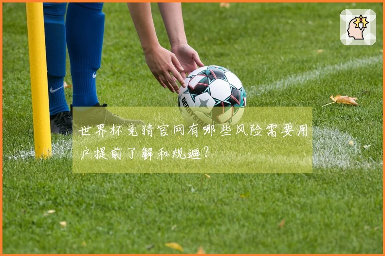 世界杯竞猜官网有哪些风险需要用户提前了解和规避？