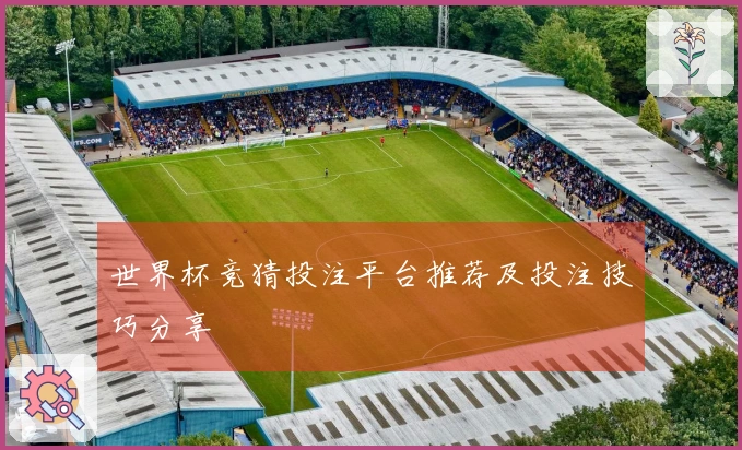 世界杯竞猜投注平台推荐及投注技巧分享