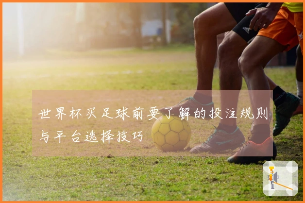 世界杯买足球前要了解的投注规则与平台选择技巧
