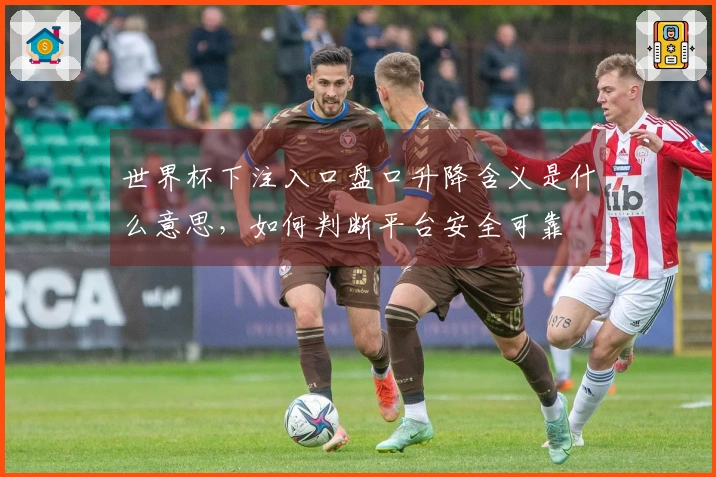 世界杯下注入口盘口升降含义是什么意思，如何判断平台安全可靠