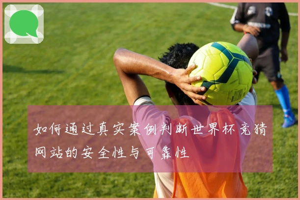 如何通过真实案例判断世界杯竞猜网站的安全性与可靠性