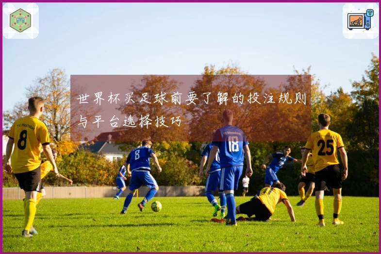 世界杯买足球前要了解的投注规则与平台选择技巧